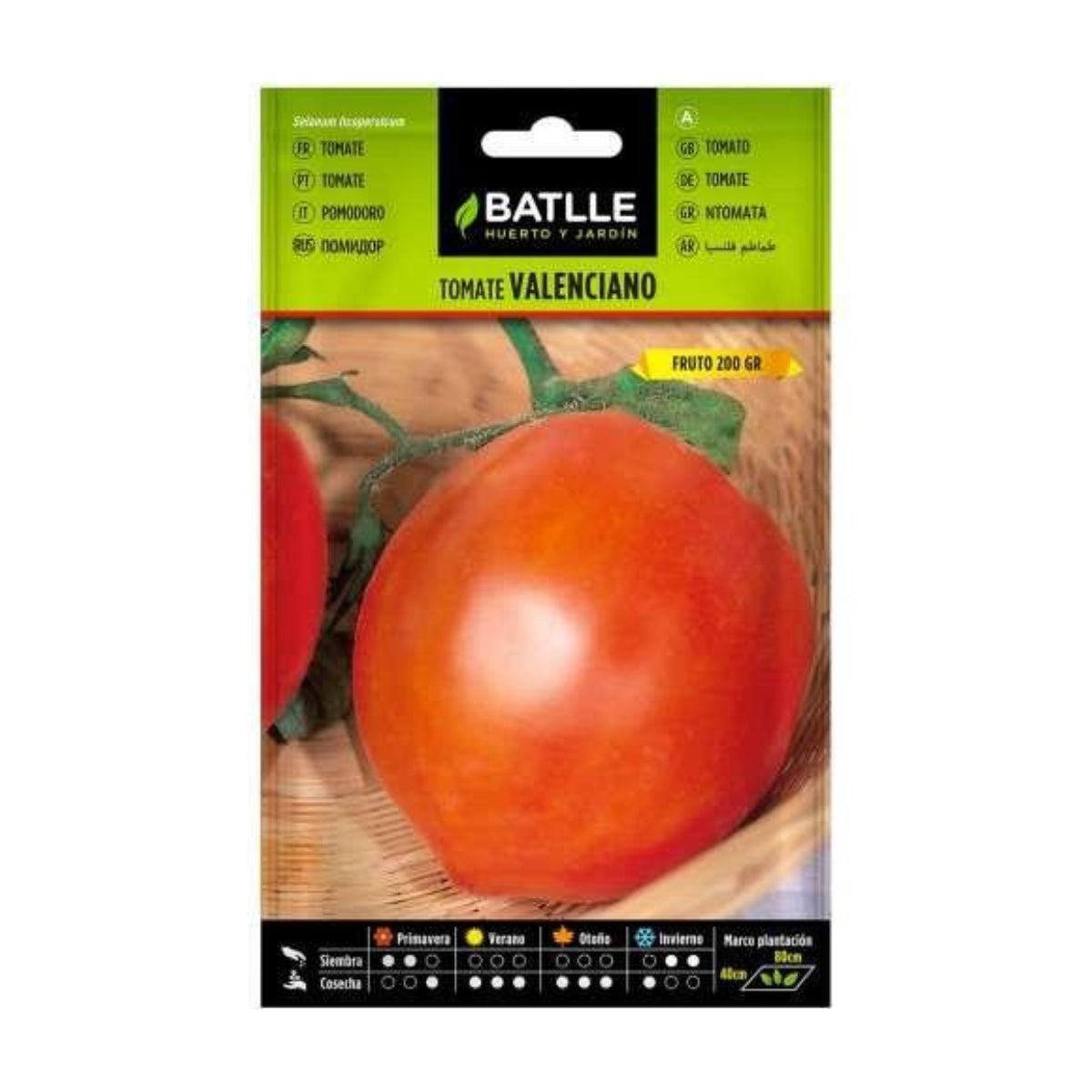 Samen der valencianischen Tomate Batlle