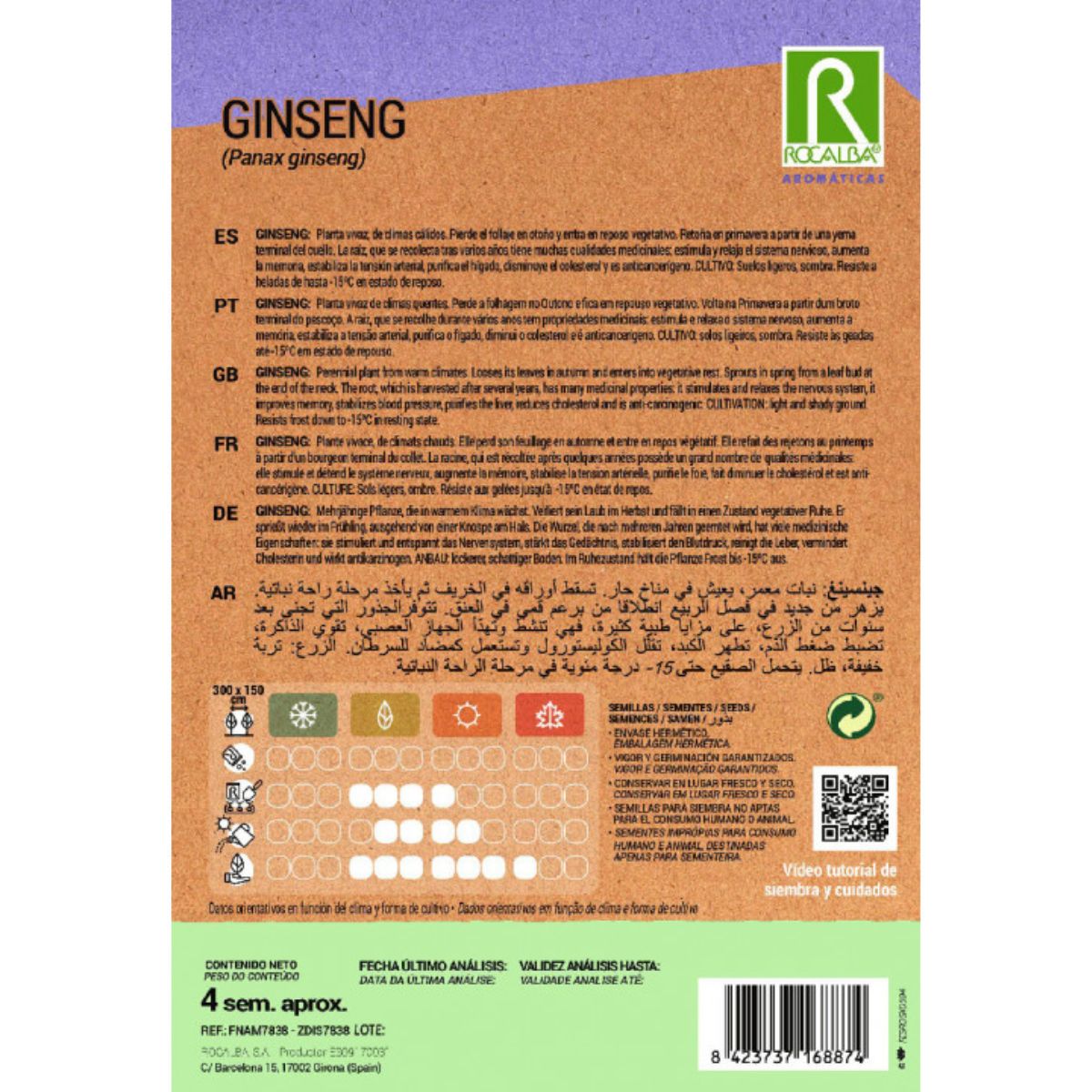 Semi di ginseng