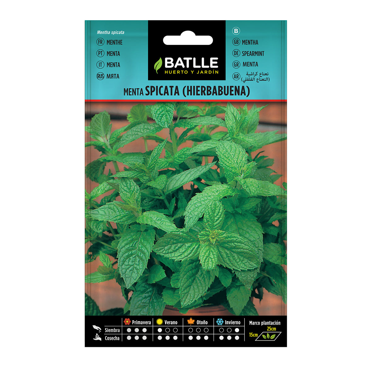 Batlle Peppermint Seeds