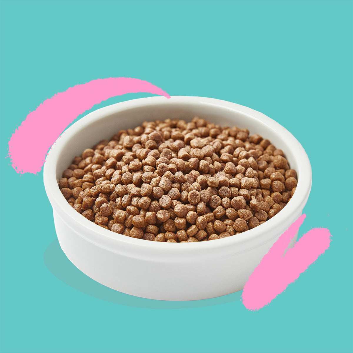 Katzenfutter Kitten Frische Ente und Huhn Edgard & Cooper 2 kg