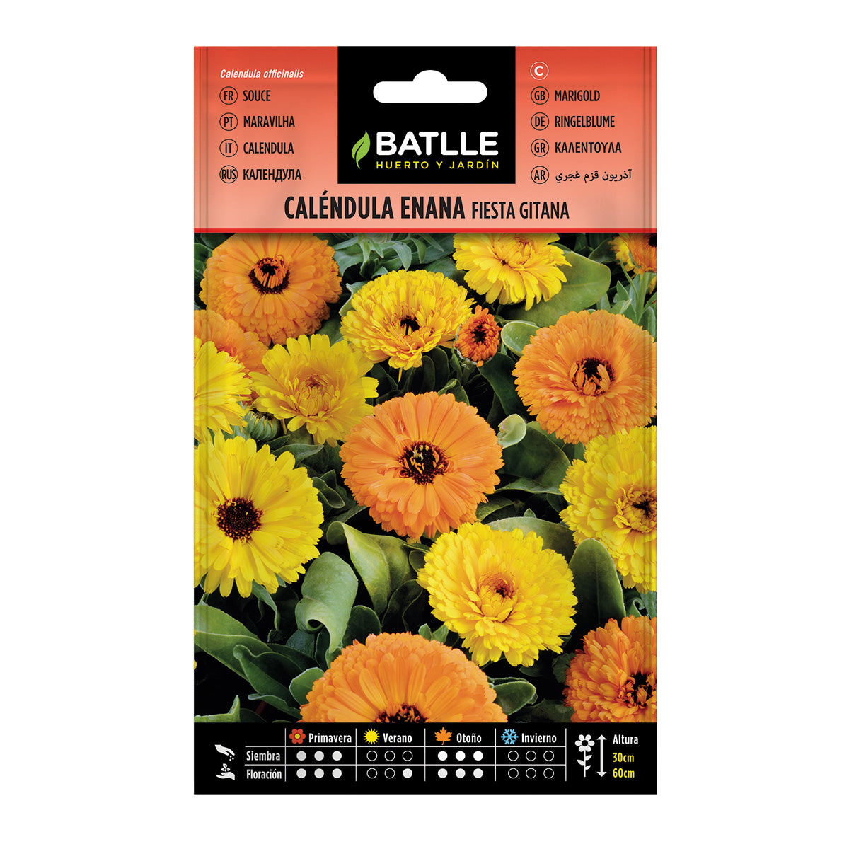 Ringelblumensamen Zwerg-Ringelblume Fiesta Gitana Batlle
