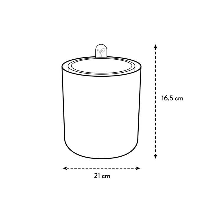 Självvattnande kruka för örter Bouncy Basil Elho Terra
