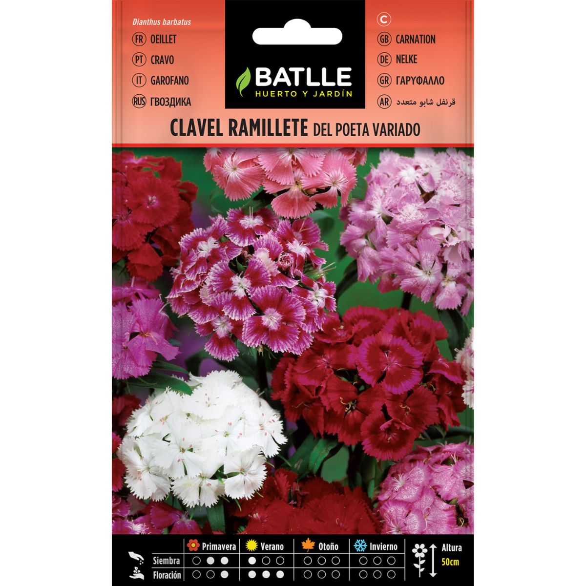 Graines de œillets bouquet du poète variées Batlle
