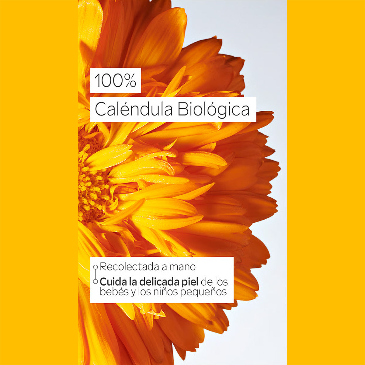 Olio per la pancia del bambino Weleda, 50 ml