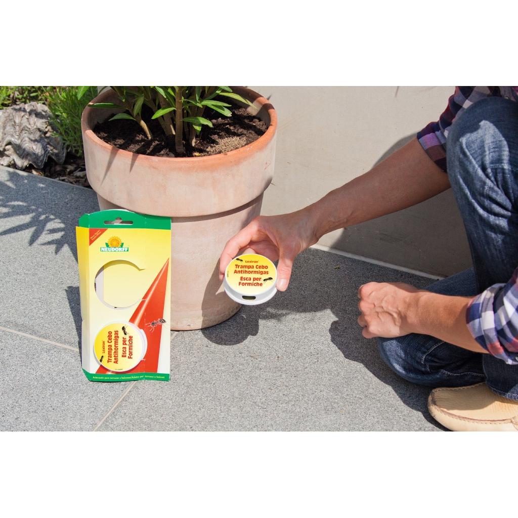 Loxiran Organic Ant Bait Trap 2 pcs Neudorff