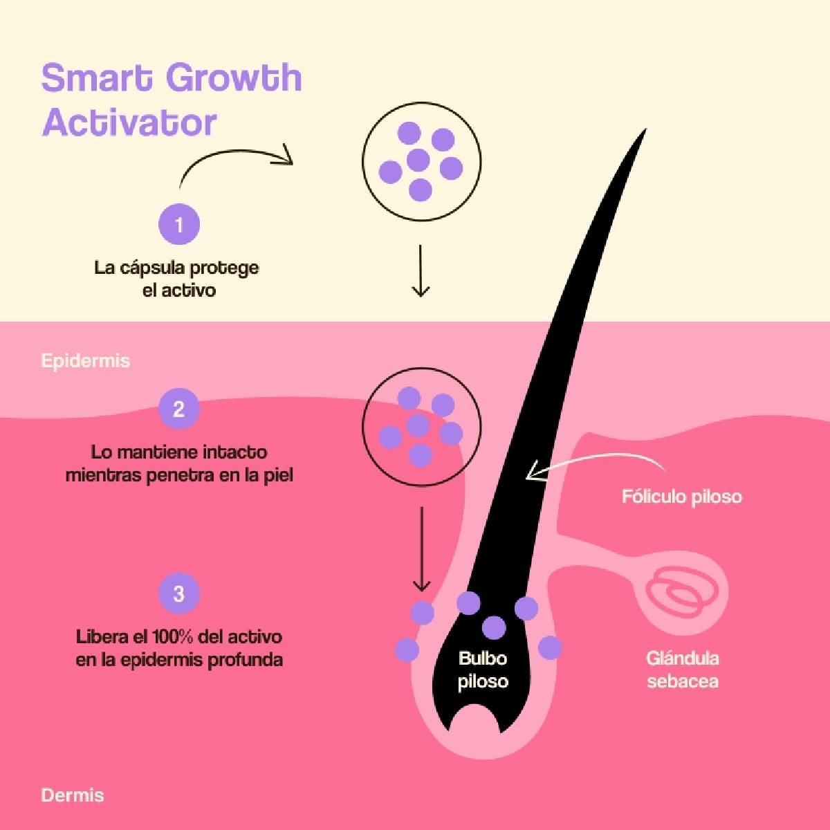 Trattamento per la crescita e la densità dei capelli Freshly 50 ml