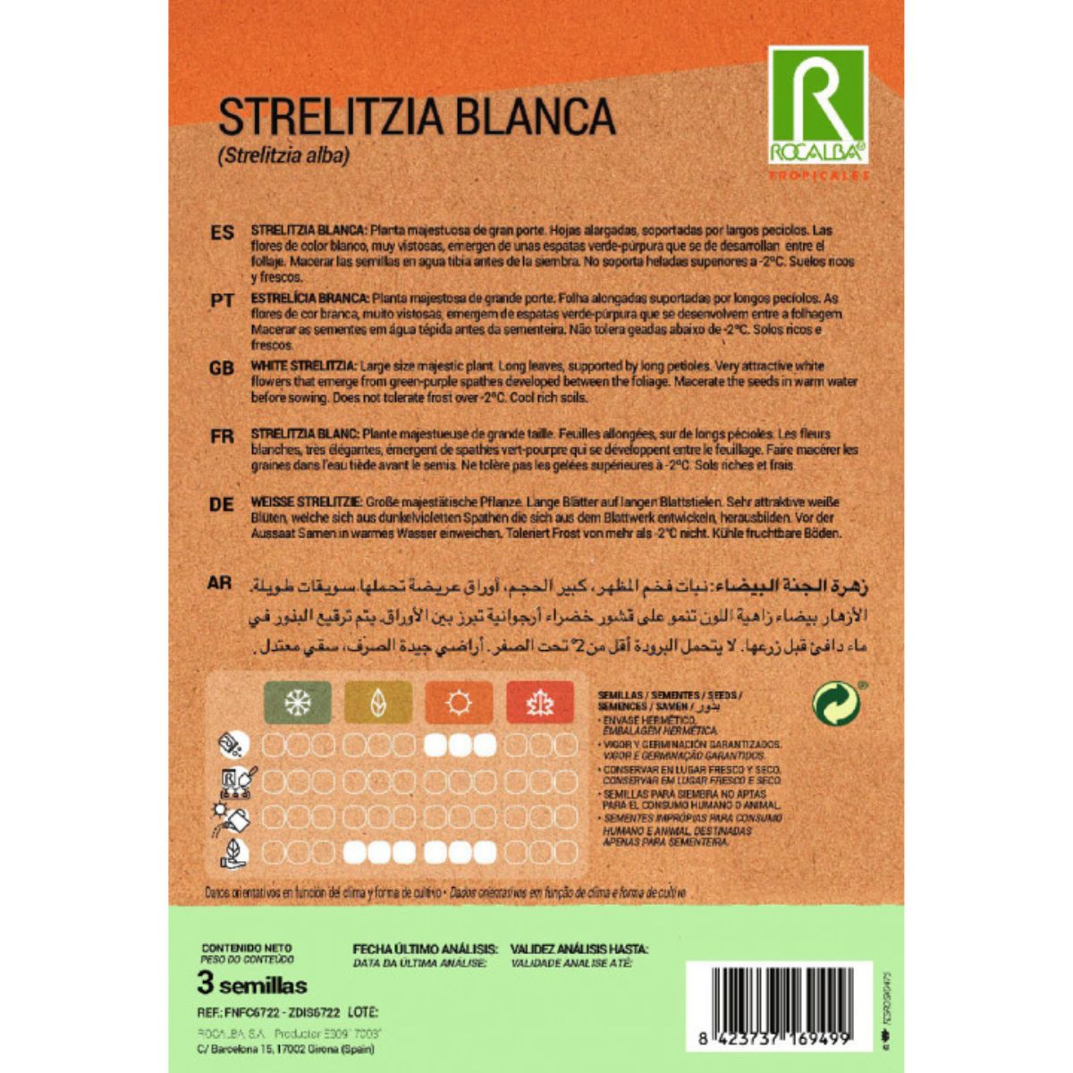 Frön av vit Strelitzia