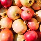 Olio corpo al melograno WELEDA 100 ml