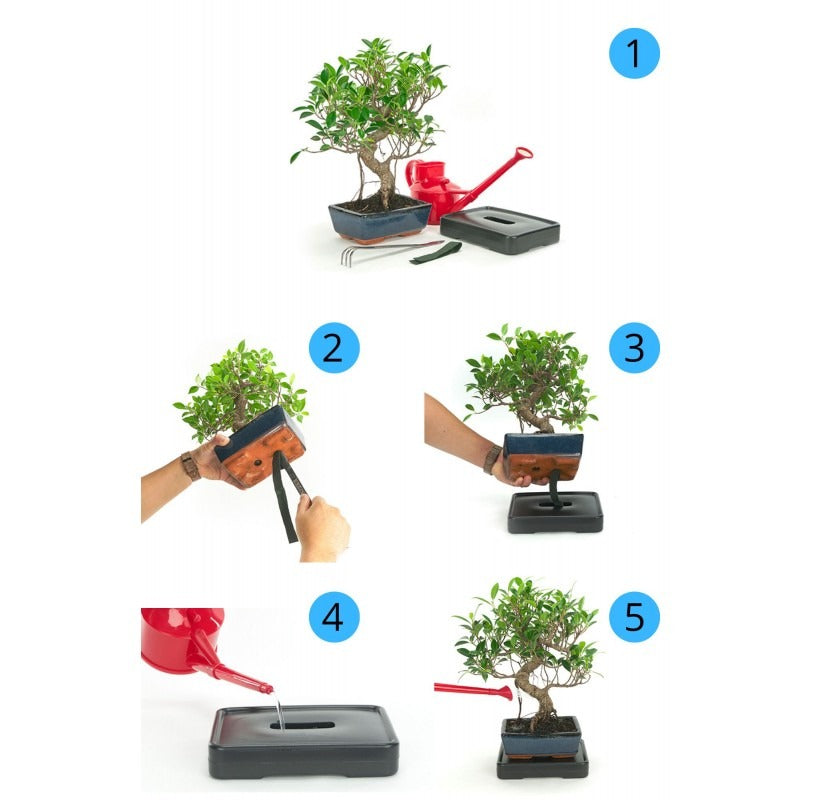 Automatisch bewateringssysteem voor bonsai 15 cm