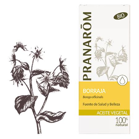 Bio-Borretschöl Pranarôm, 50 ml