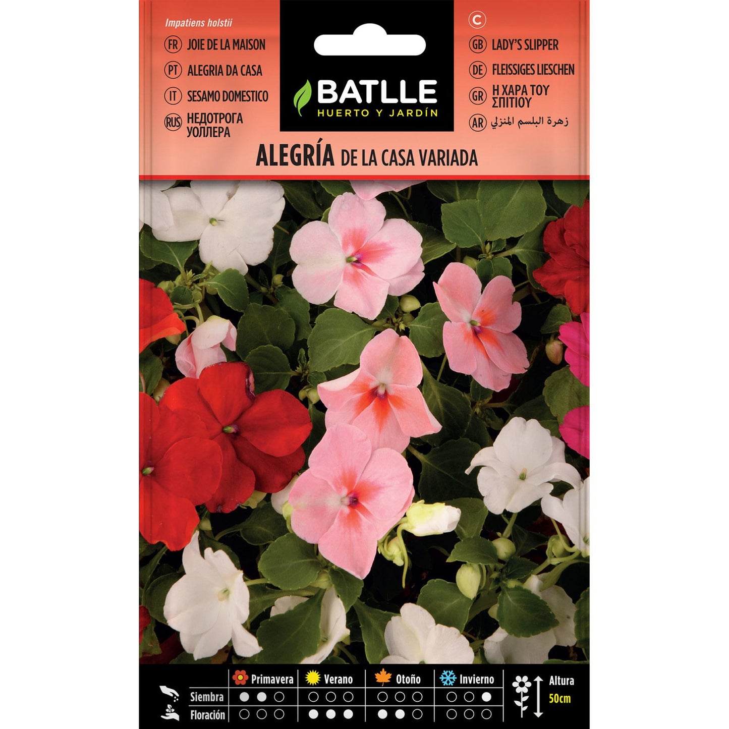Graines de joie de la maison variées Batlle