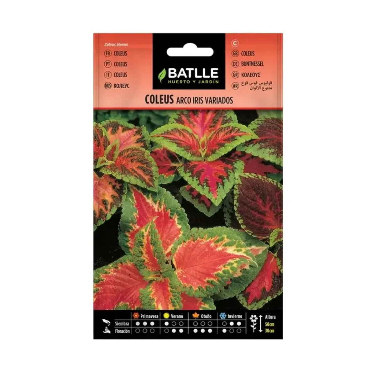 Batlle regnbågsfärgade coleusfrön