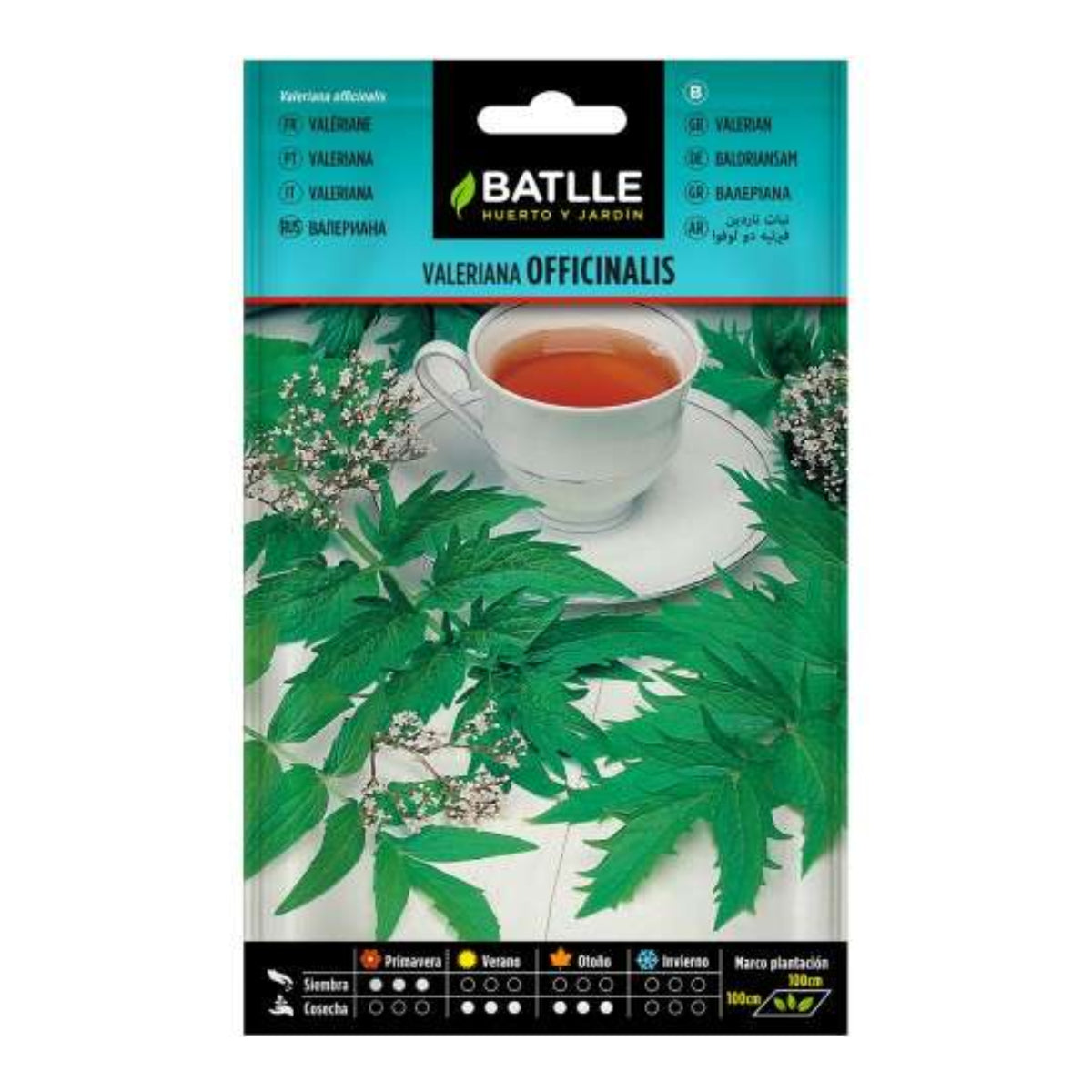 Semi di Valeriana Batlle