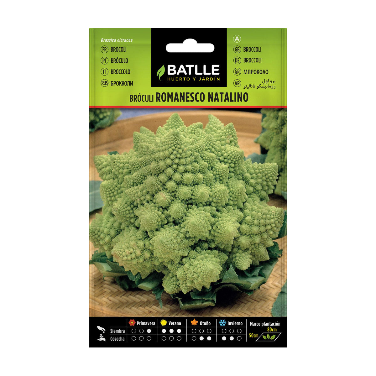 Romanesco Broccoli Seeds Natalino Batlle