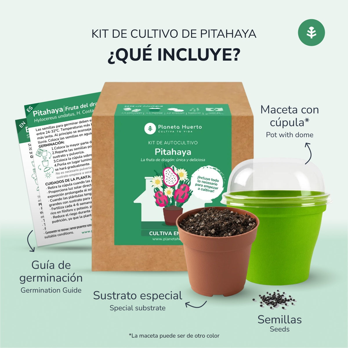 Kit de autocultivo Pitahaya Fruta dragón Planeta Huerto