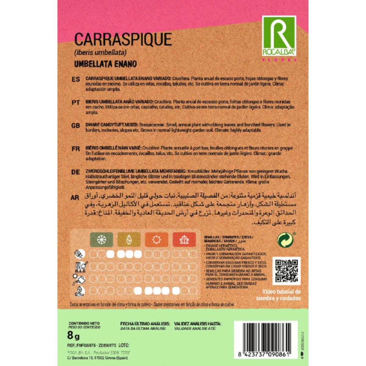 Dwarf Carraspique umbellata seeds, assorted