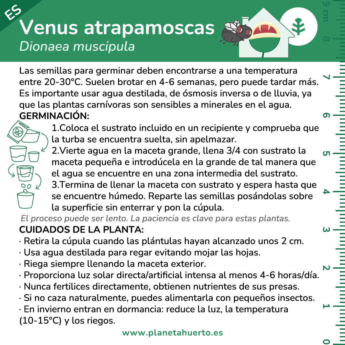 Självodlingssats Venus flytrap köttätande växt Garden planet