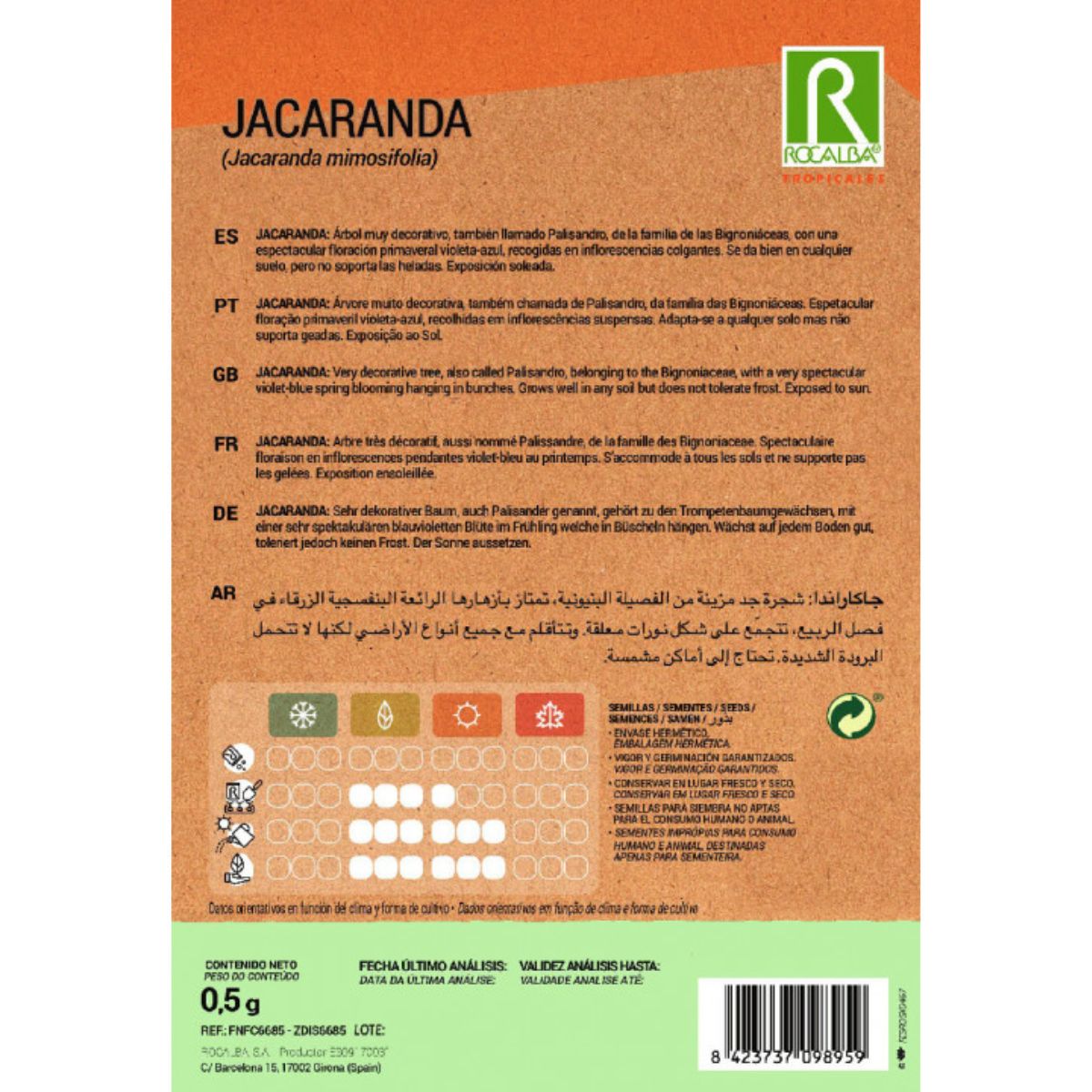 Jacaranda seeds Jacaranda mimosifolia