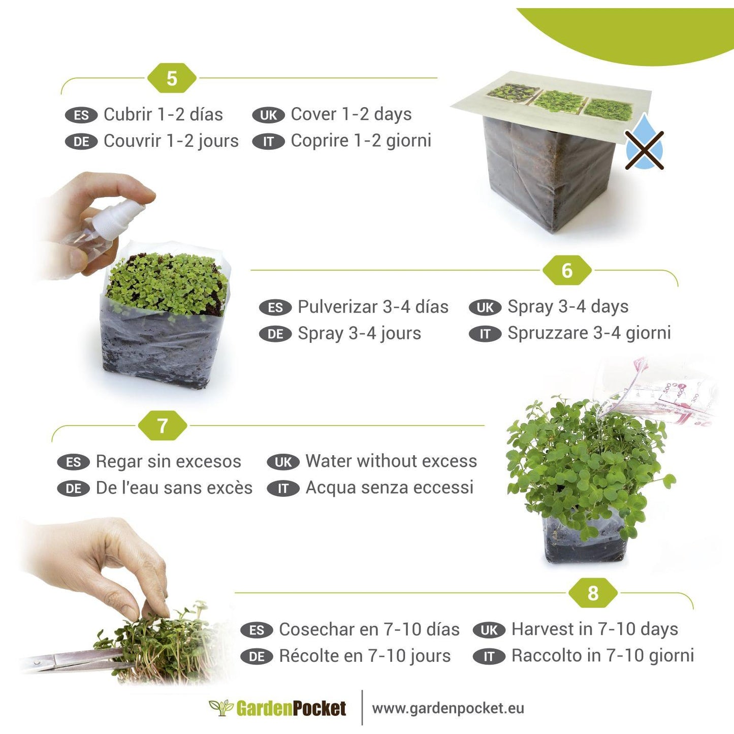 POP Mix microgreens