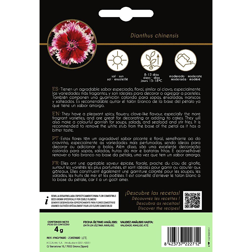 Nasiona jadalnych kwiatów chińskiej goździki Rocalba