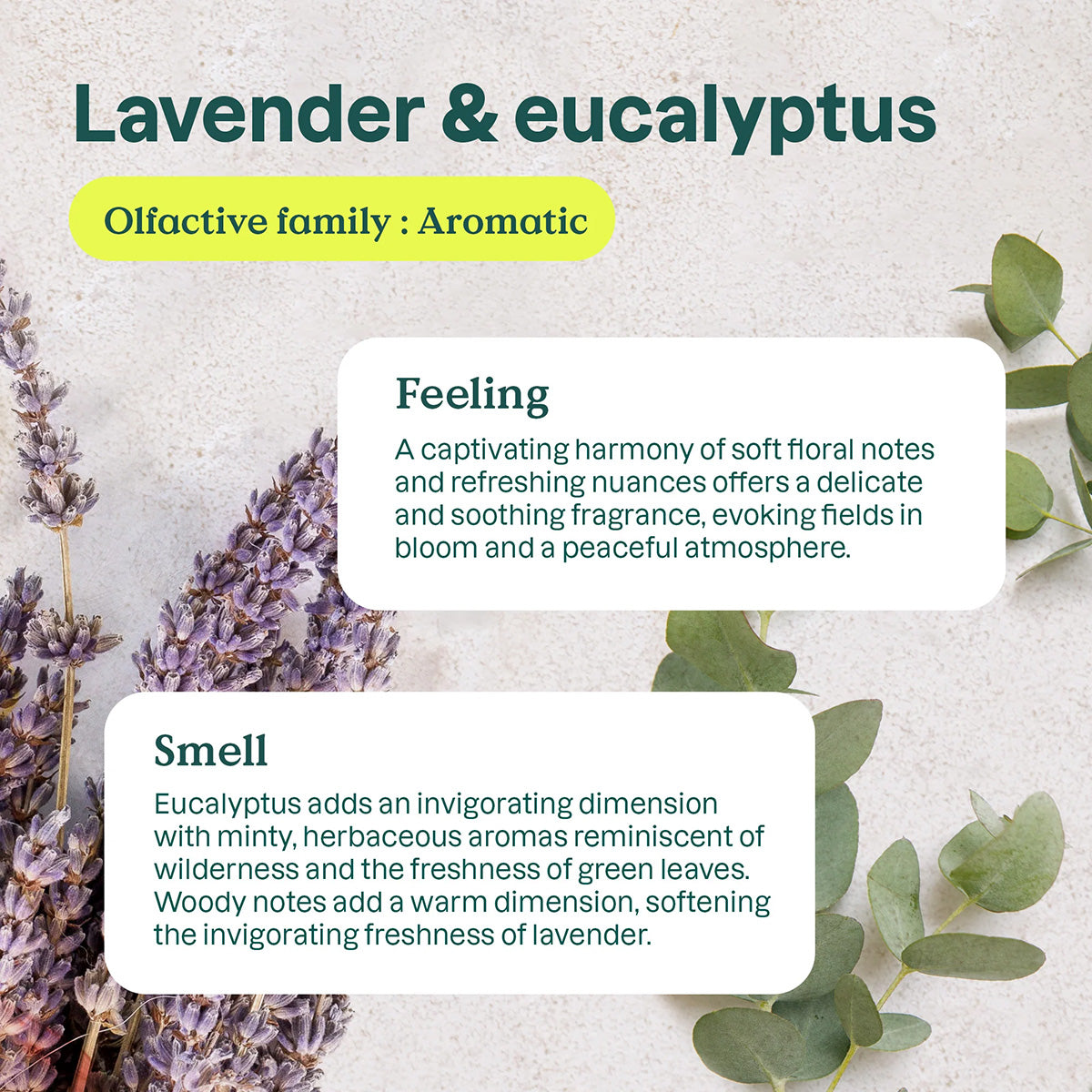 Purificateur naturel Eucalyptus et Lavande Attitude 227 g