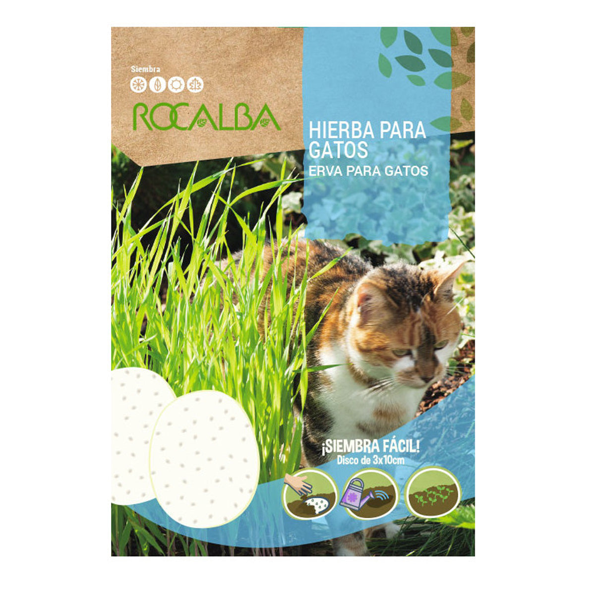 Semillas de Hierba para gatos en discos, Rocalba