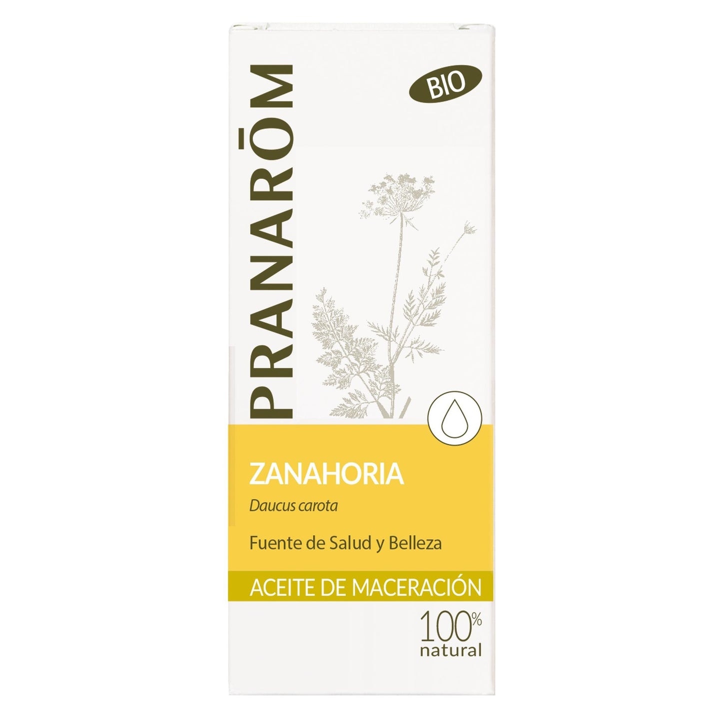 Bio-Karottenöl von Pranarôm 50 ml