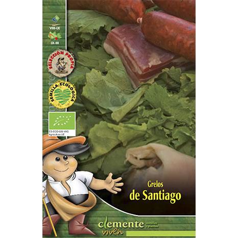 Graines de navets De Santiago Clemente