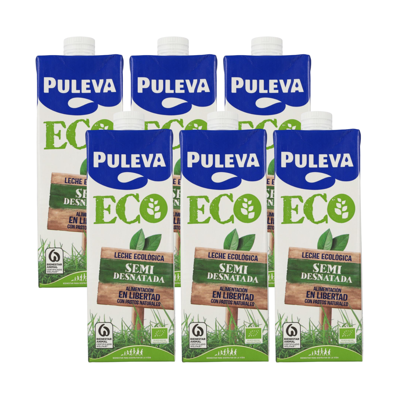 Packung mit 6 Einheiten Puleva Bio-Teilentrahmte Milch, 1 l