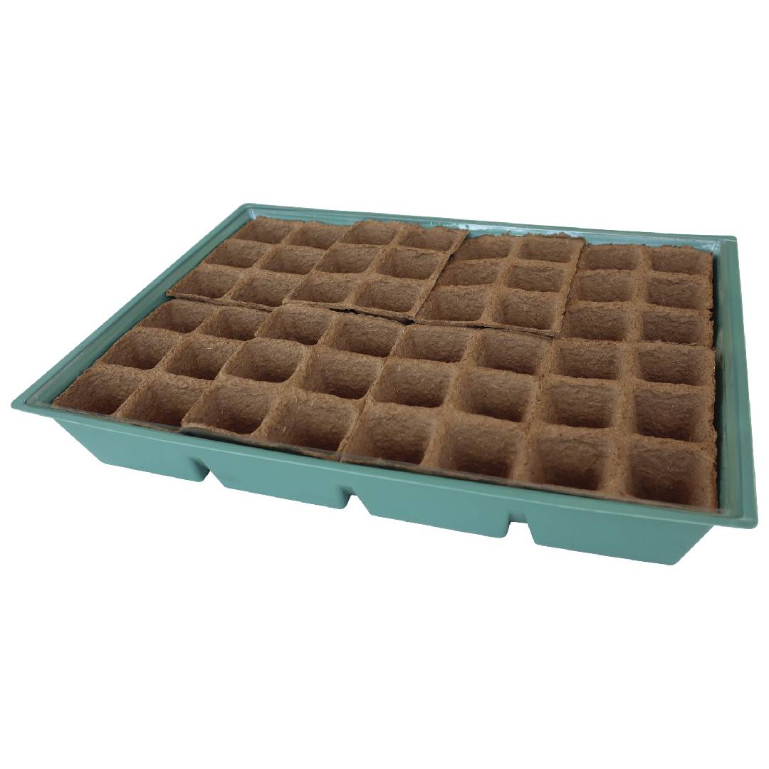 Planeta Huerto L greenhouse seed tray with lid, 8 trays
