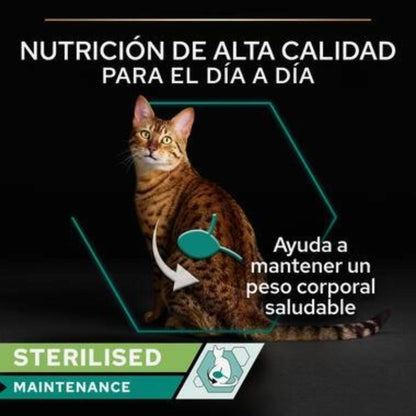 Pro Plan Adult Sterilisiertes Erhaltungsfutter für Katzen, Terrine mit Thunfisch und Lachs, Purina, 12 x 85g Dosen