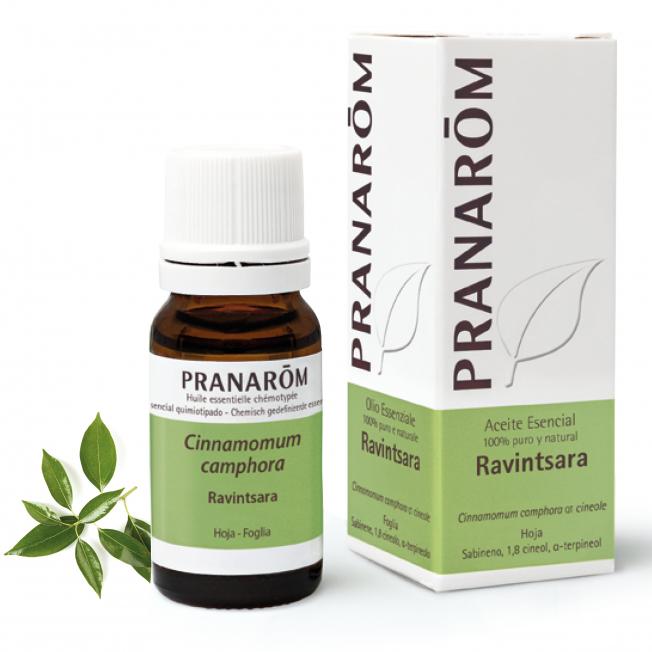 Olejek eteryczny Ravintsara Pranarom 10 ml