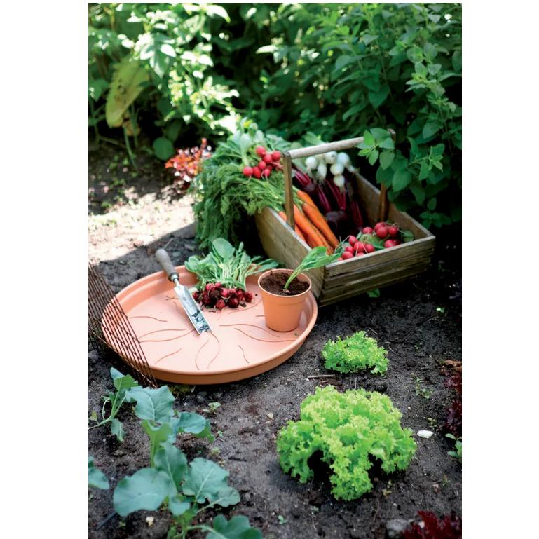 Plateau pot Green Basics Elho Terra 17 cm