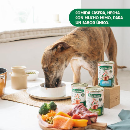 Boîte complète de ragoût traditionnel de bœuf et poulet pour chiens Wild Balance 400 g