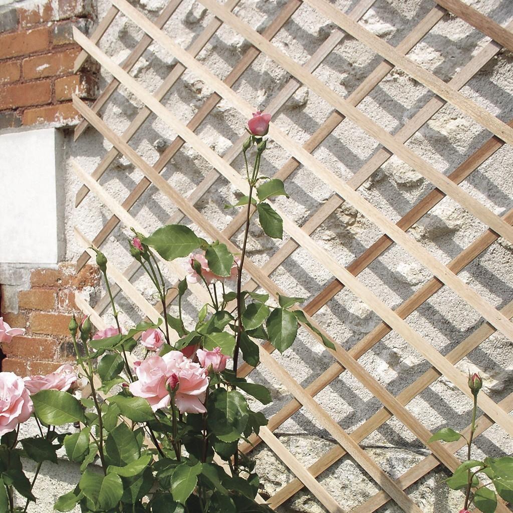 Ausziehbares Holzgitter Trelliwood Nortene 0,5 x 1,50 m