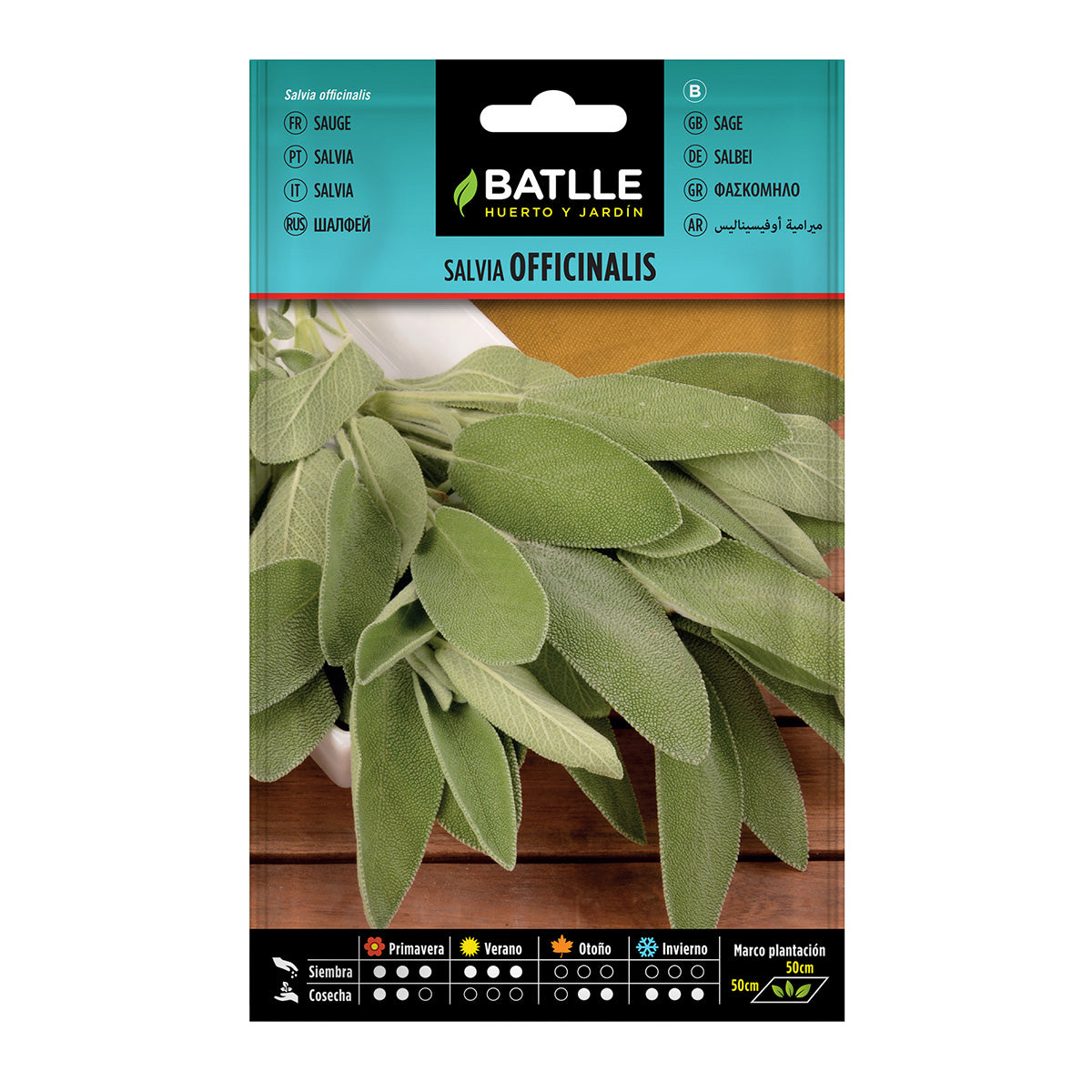 Salbeisamen Salvia officinalis Batlle