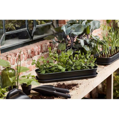 Bandeja de cultivo Green basics Elho Antracita S
