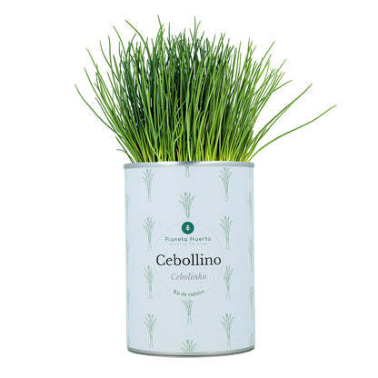 Aromatic cultivation Kits Chest Pack Planeta Huerto