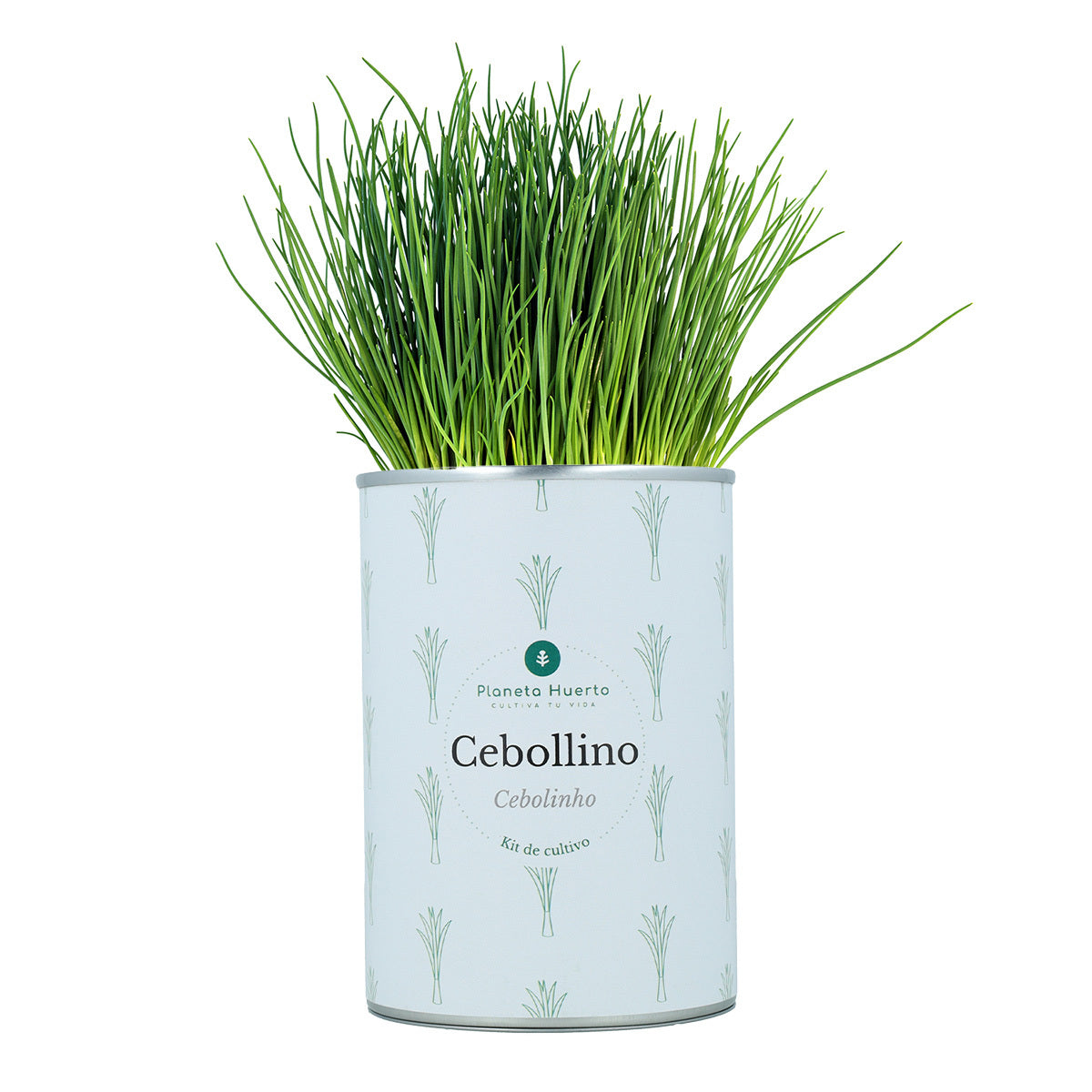 Kit per la coltivazione aromatica Pacco Pettorale Planeta Huerto