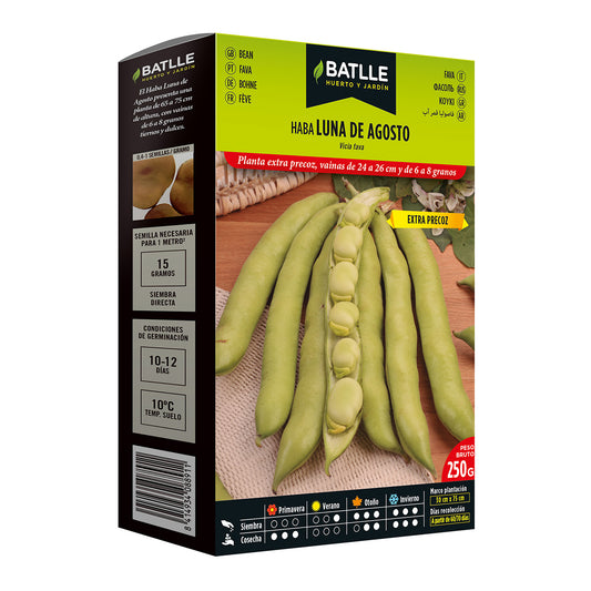 Extra early broad bean seeds Luna de Agosto 250 g Batlle
