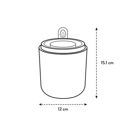 Avocado-Keimtopf Amazing Avocado Elho Terra