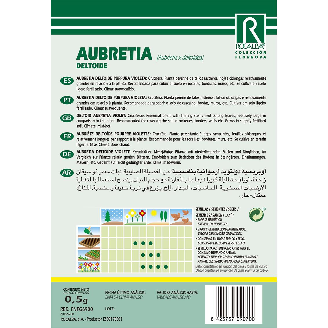 Aubretia deltoide seeds, purple violet