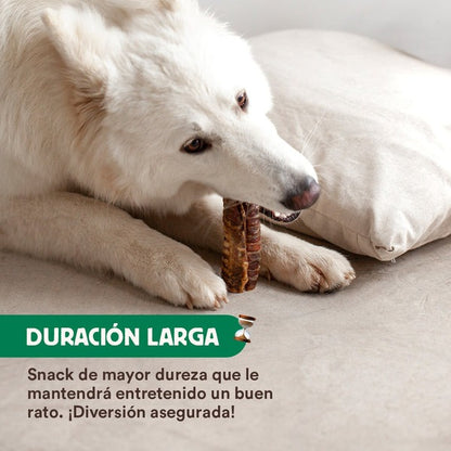 Morditore naturale Trachee di vitello Wild Balance 100 g