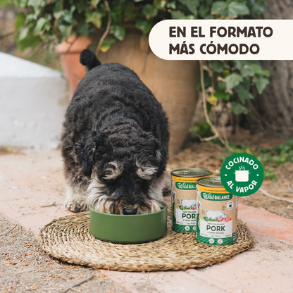 Boîte de porc et légumes BARF pour chiens Wild Balance 400 g