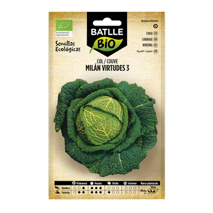 Bio-Kohlsamen Milan Virtudes 3 Batlle