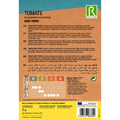 Samen der Tomate Saint Pierre