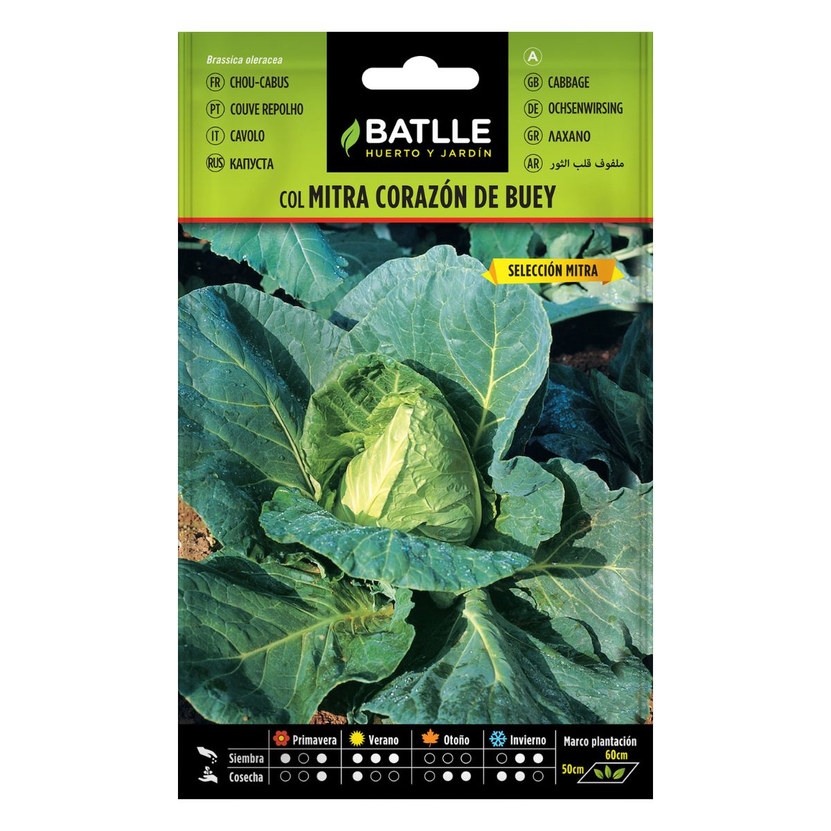 Semi di cavolo cappuccio Corazón de buey Batlle