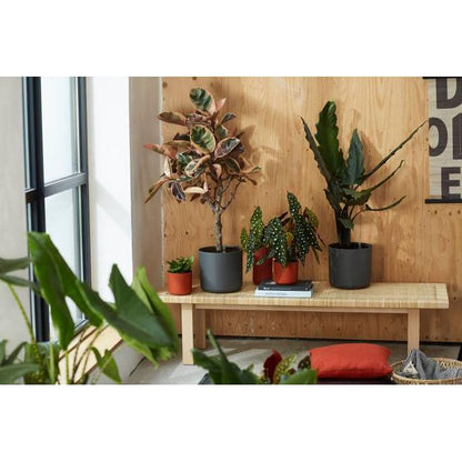 Blomkruka B.for Soft Round Elho Antracit 22 cm