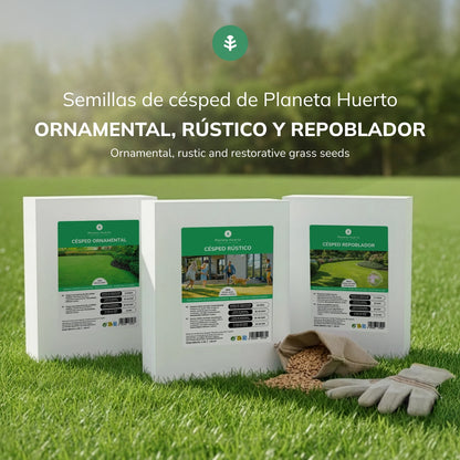 Powtarzające się nasiona traw Planeta Huerto 1 kg