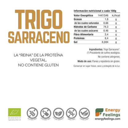 Harina de Trigo Sarraceno Bio Energy Feelings
